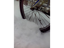 IMG 20151011 090121.jpg