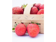 30,7���. ��������� ������� ����(���������� ������ ������ ���������� �� 5 ��.)���16.jpg