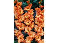 9,83���. ��������� ������� �����(���������� ������ ������ ���������� �� 8 ��.)���15.jpg