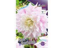 84,8���. �������� ����� ��������(�������� ���� �� 1 ��., ����������� ����� 1��.).jpg