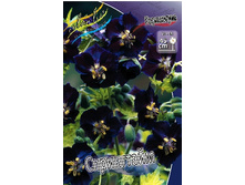 180���. �������� ����������(�������� ���� �� 1 ��., ����������� ����� 1��.).jpg