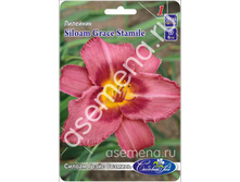 ������ ����� �������.jpg