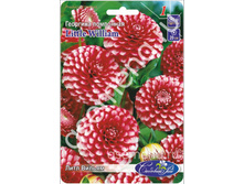 ���� ������.jpg