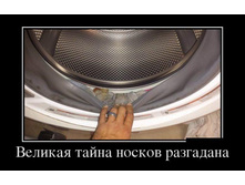 176.jpg