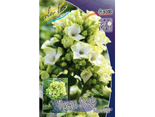 123,2���. ����� NEON- ���� ���(�������� ���� �� 2 ��., ����������� ����� 1��.).jpg