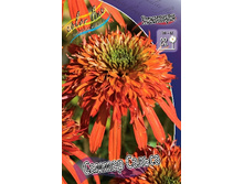 254,7���. �������� ������ ������(�������� ���� �� 1 ��., ����������� ����� 1��.).jpg