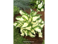 213,2���. ����� ���� �����(�������� ���� �� 1 ��., ����������� ����� 1��.)���16.jpg