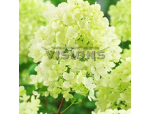 280���. ��������� ����������� ��������.jpg