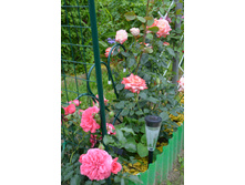 ������� (26).JPG