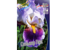 95,3���. ���� ���������� ������� ���(�������� ���� �� 2 ��., ����������� ����� 1��.).jpg