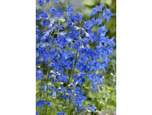 163,4���. ���������� ����� ���(�������� ���� �� 1 ��., ����������� ����� 1��.).jpg