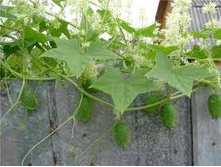 ������� ������ 3�� 9���.jpg