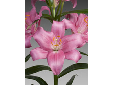 21,9���. ����� �������(�������� ���� �� 7 ��., ����������� ����� 1��.)���16.jpg