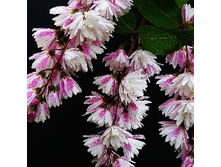 127���. ������ �������� ������� ����.jpg