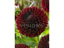 98,6���. �������� ����� �������(�������� ���� �� 1 ��., ����������� ����� 1��.)���16.jpg