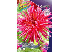 82���. �������� ������(�������� ���� �� 1 ��., ����������� ����� 1��.).jpg