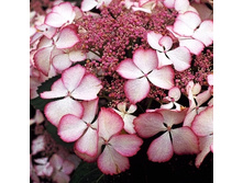 204���. ��������� �������������� ������ ����.jpg