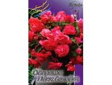 76,13���. ������� ������� ���� ������(�������� ���� �� 3 ��., ����������� ����� 1��.).jpg