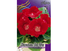 62,4���. ��������� ����� �� ��(�������� ���� �� 3 ��., ����������� ����� 1��.).jpg