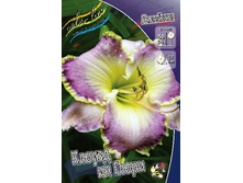 199,9���. �������� ������ �� �����(�������� ���� �� 1 ��., ����������� ����� 1��.).jpg