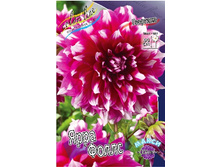 89,4���. �������� ���� �����(�������� ���� �� 1 ��., ����������� ����� 1��.).jpg