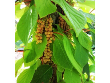 192���. �������� ��������� ���������.jpg