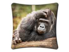 ������� �������� (����������)+ html m441cf2b2.jpg