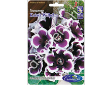 ������ ���������.jpg