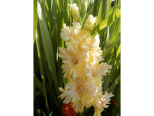 07 ������� �������.jpg