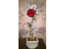 WP 20151013 21 47 15 Pro.jpg