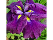 ���� �������� ���� ������.jpg