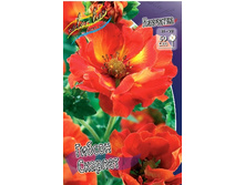 83,8���. �������� ������� �������(�������� ���� �� 1 ��., ����������� ����� 1��.).jpg