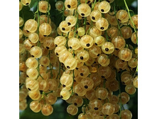 147���. ��������� ����� ��������.jpg