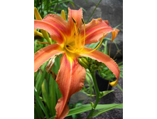 163,4���. �������� ������� ��������(�������� ���� �� 1 ��., ����������� ����� 1��.)���16.jpg