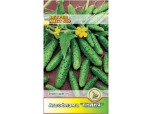 ������ ���� 639 ������������ 	0,3	5,00 ���.