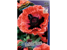 130,3���. ��� ����� ����(�������� ���� �� 1 ��., ����������� ����� 1��.).jpg