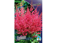 74,5���. �������� ������(�������� ���� �� 1 ��., ����������� ����� 1��.).jpg