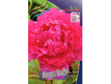 213,2���. ���� ���� ����(�������� ���� �� 1 ��., ����������� ����� 1��.).jpg