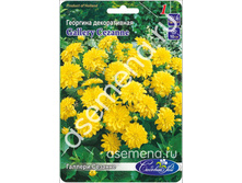 ������� �������.jpg