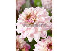 78,3���. �������� �������(�������� ���� �� 1 ��., ����������� ����� 1��.)���16.jpg