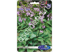 �����	��� �����	Blue Cadet