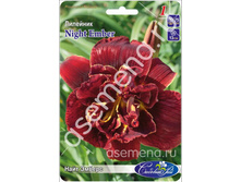 ���� ������.jpg