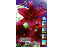 40,86���. ����� ���� ������(�������� ���� �� 5 ��., ����������� ����� 1��.).jpg