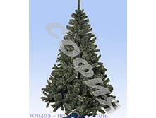 ���� 3860 ���