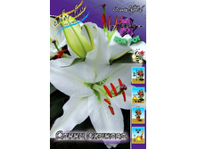 43,44���. ����� ����� �������(�������� ���� �� 5 ��., ����������� ����� 1��.).jpg