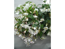 ������� ��������� ������ ����� 10�� 17,5.jpg