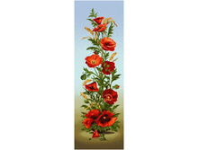 ���� ������������ - ����������� �����.jpg