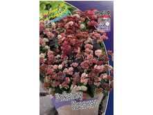 163,4���. ������ ������� �������(�������� ���� �� 1 ��., ����������� ����� 1��.).jpg