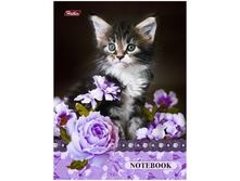 ������-������� �6 80�. ������� � ������, � ��������� 44,40.jpg