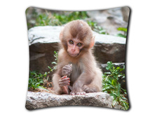 ������� �������� (����������)+ html m528aa51c.jpg